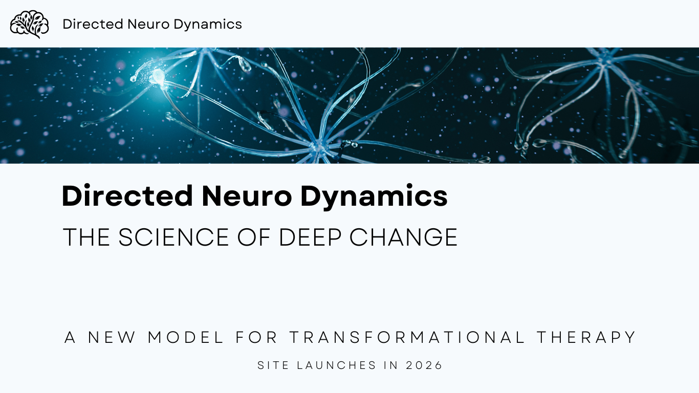 Directed Neuro Dynamics Landing Page